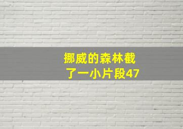 挪威的森林截了一小片段47