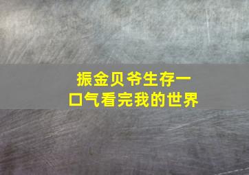 振金贝爷生存一口气看完我的世界