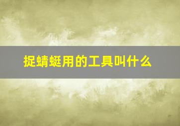 捉蜻蜓用的工具叫什么