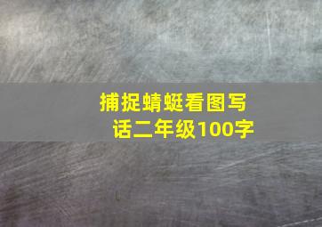 捕捉蜻蜓看图写话二年级100字