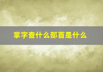 掌字查什么部首是什么