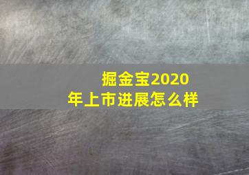 掘金宝2020年上市进展怎么样