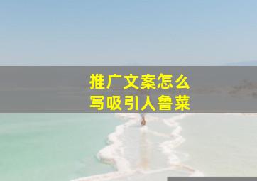 推广文案怎么写吸引人鲁菜