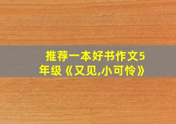 推荐一本好书作文5年级《又见,小可怜》