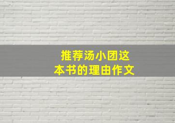 推荐汤小团这本书的理由作文