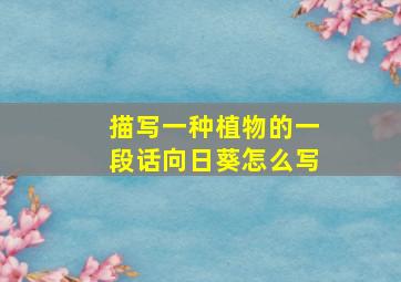 描写一种植物的一段话向日葵怎么写