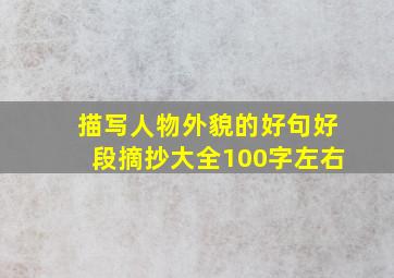 描写人物外貌的好句好段摘抄大全100字左右