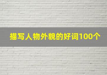 描写人物外貌的好词100个