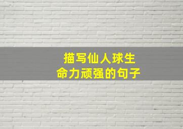 描写仙人球生命力顽强的句子