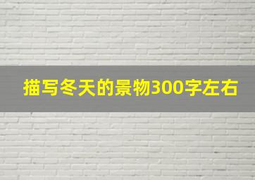 描写冬天的景物300字左右