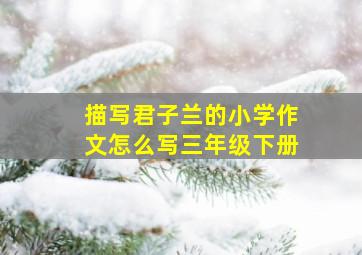 描写君子兰的小学作文怎么写三年级下册