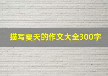 描写夏天的作文大全300字