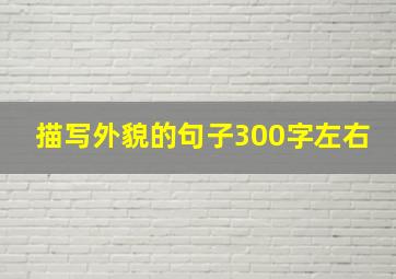 描写外貌的句子300字左右