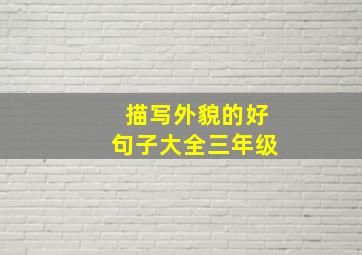 描写外貌的好句子大全三年级