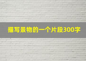 描写景物的一个片段300字