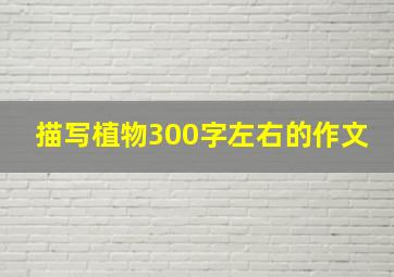 描写植物300字左右的作文