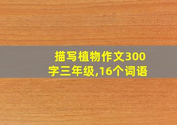 描写植物作文300字三年级,16个词语