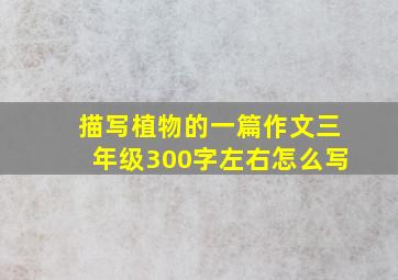 描写植物的一篇作文三年级300字左右怎么写