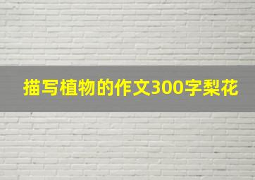 描写植物的作文300字梨花