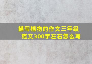 描写植物的作文三年级范文300字左右怎么写