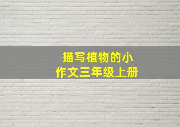 描写植物的小作文三年级上册