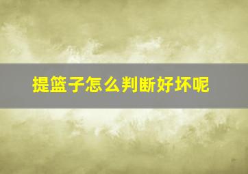 提篮子怎么判断好坏呢