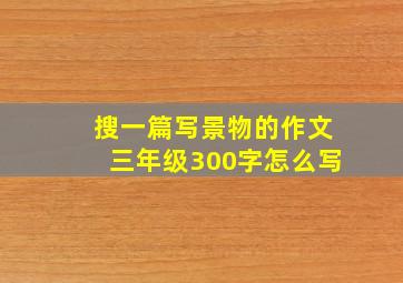 搜一篇写景物的作文三年级300字怎么写