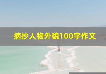 摘抄人物外貌100字作文