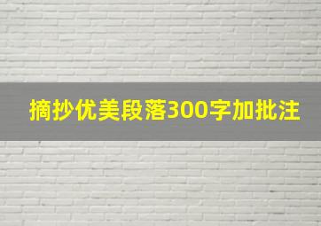 摘抄优美段落300字加批注