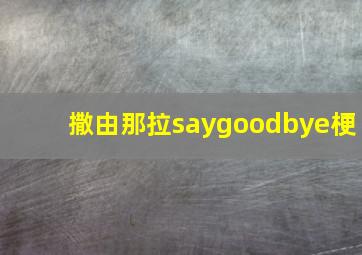 撒由那拉saygoodbye梗