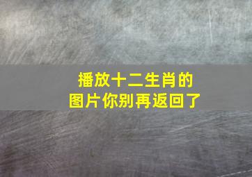 播放十二生肖的图片你别再返回了