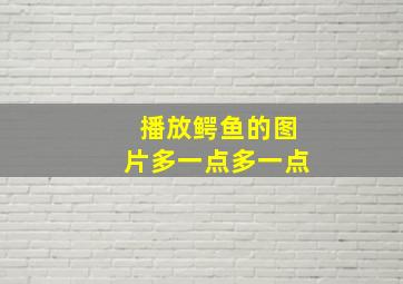 播放鳄鱼的图片多一点多一点