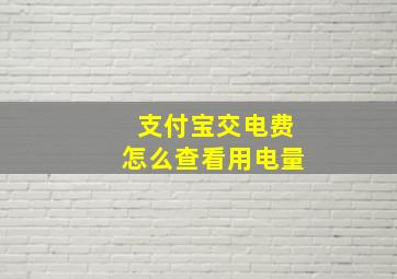 支付宝交电费怎么查看用电量