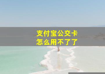 支付宝公交卡怎么用不了了