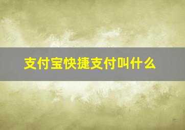 支付宝快捷支付叫什么