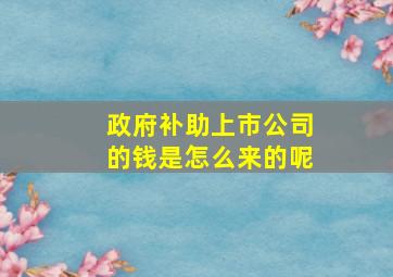 政府补助上市公司的钱是怎么来的呢