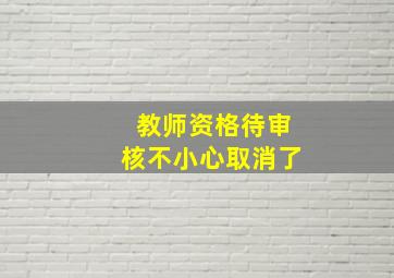 教师资格待审核不小心取消了