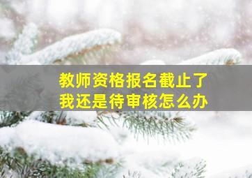 教师资格报名截止了我还是待审核怎么办