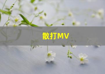 散打MV