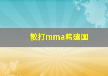 散打mma韩建国