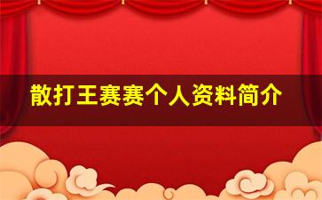 散打王赛赛个人资料简介