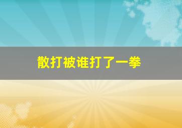 散打被谁打了一拳