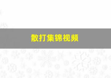 散打集锦视频