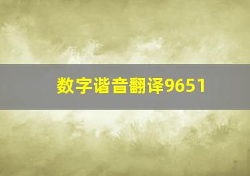 数字谐音翻译9651