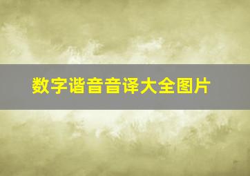 数字谐音音译大全图片