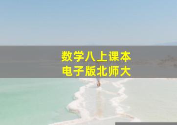 数学八上课本电子版北师大