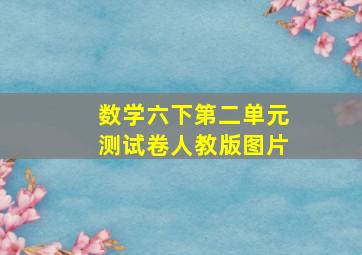 数学六下第二单元测试卷人教版图片