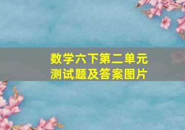 数学六下第二单元测试题及答案图片