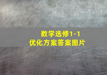 数学选修1-1优化方案答案图片