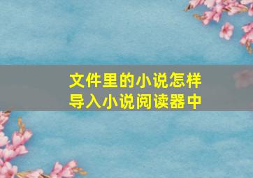 文件里的小说怎样导入小说阅读器中